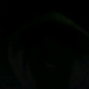 Meet your Posher, Willis